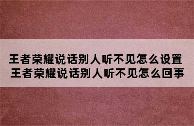 王者荣耀说话别人听不见怎么设置 王者荣耀说话别人听不见怎么回事